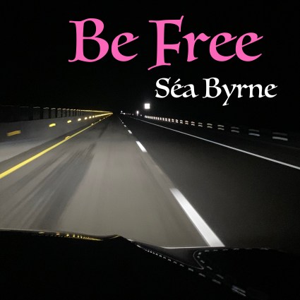 nighttime - road ahead - driving on motorway from the perspective of the driver